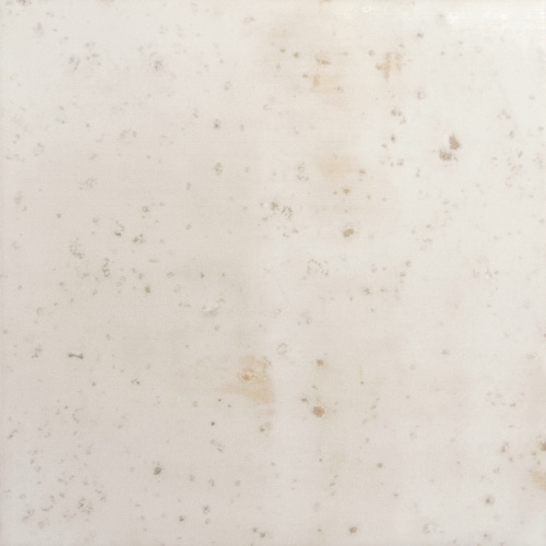  Nakama Ivory