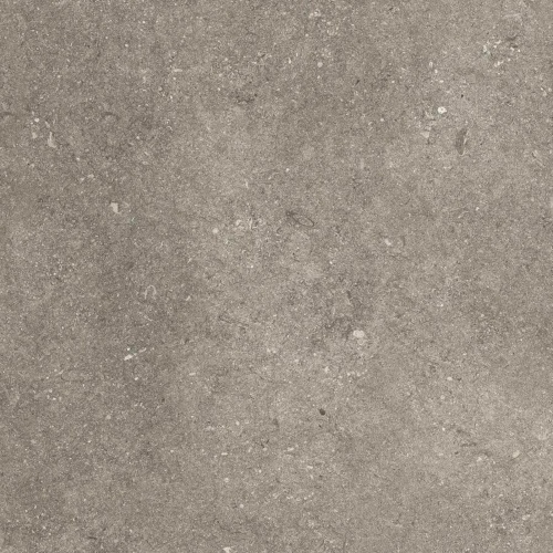  TAUPE ELEGANCE