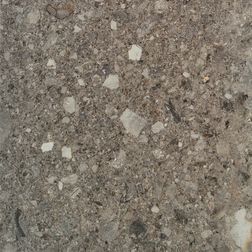 Antracite