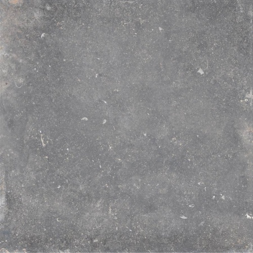  EVO GRIS FONCE