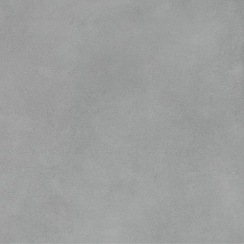  Master Gray
